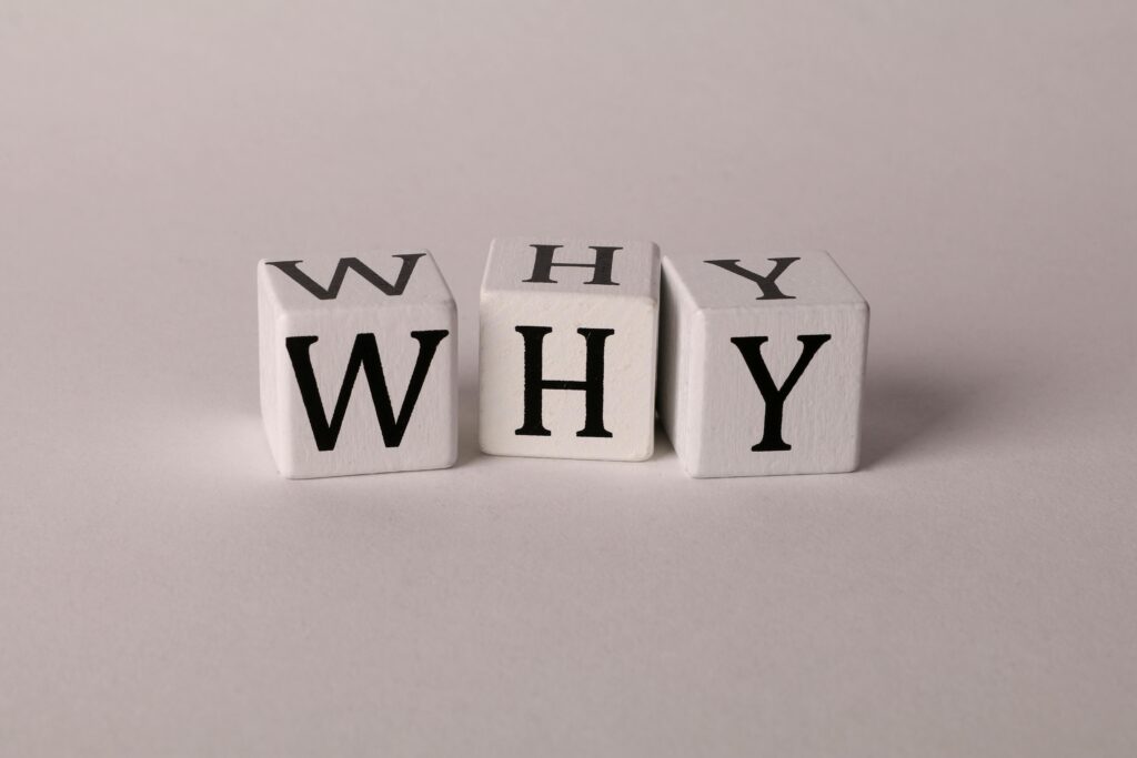 Why WordPress Why WordPress